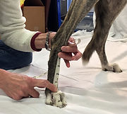 aac9f4_bf1327c0ccac41c59e98413205397afa_mv2_d_1760_1671_s_2